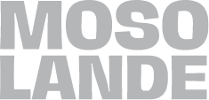 Mosolande African supermarket client logo