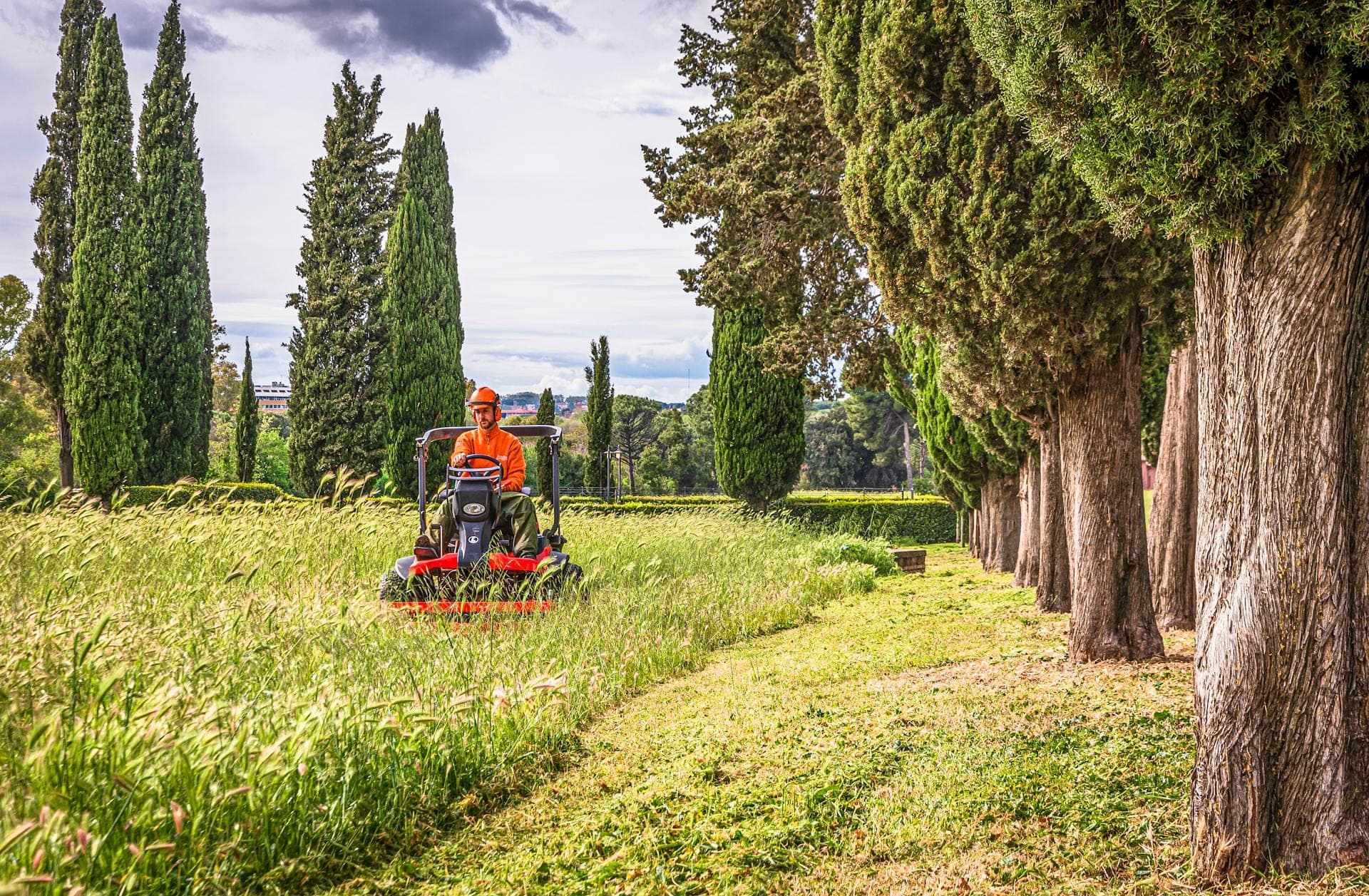 Ride-on mower cutting a long grass avenue