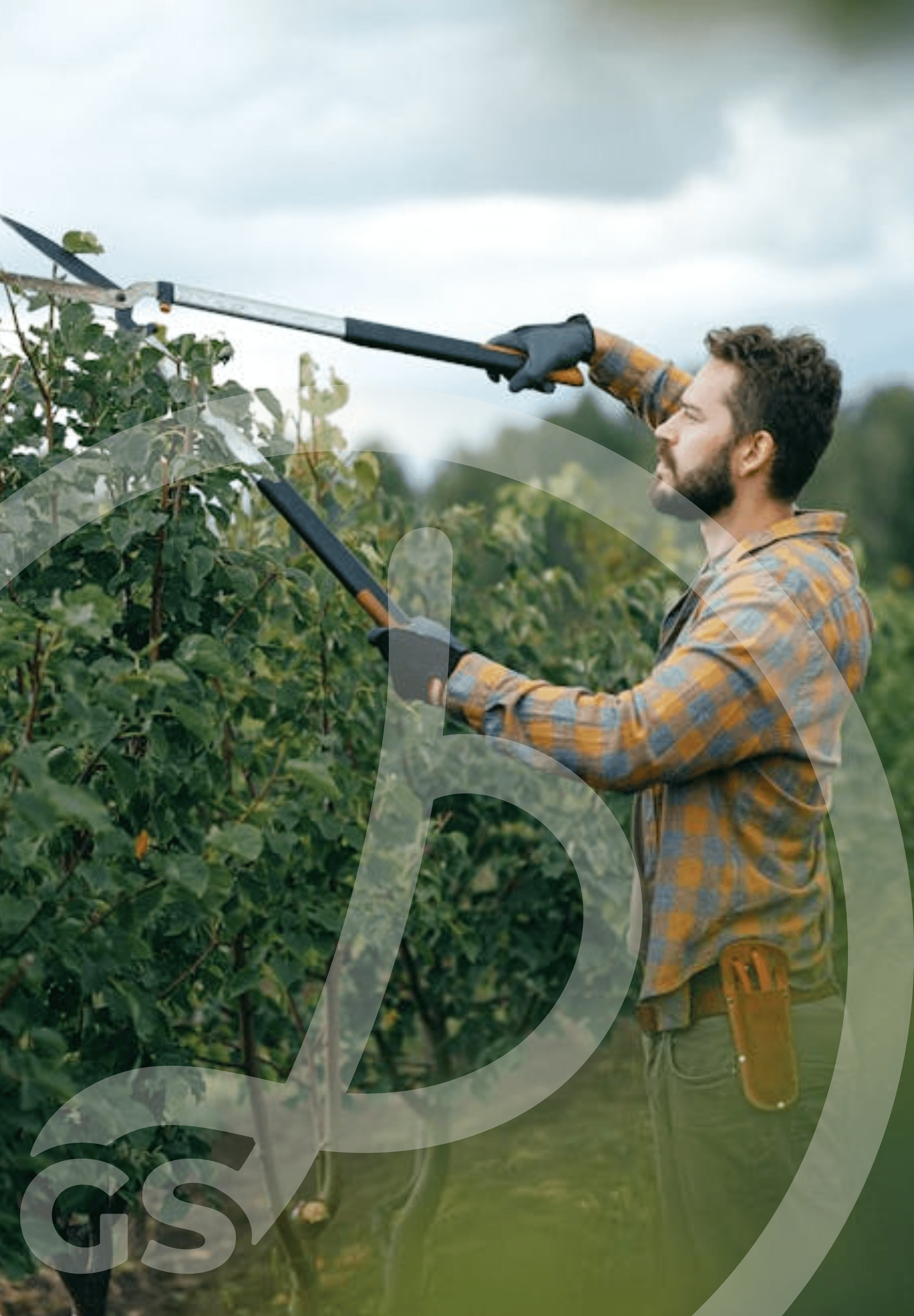 Gardener using a hedge trimmer on a residential property