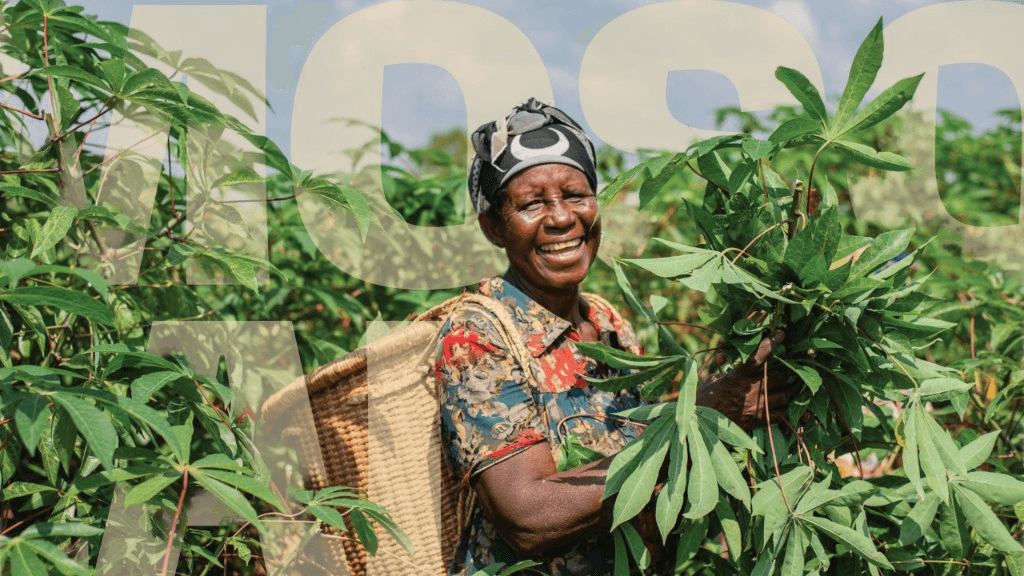 Mosolande supermarket brand imagery with a farmer holding fresh cassava greens